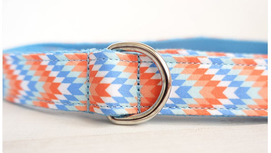Vibrant Adventures Leash + Collar Set